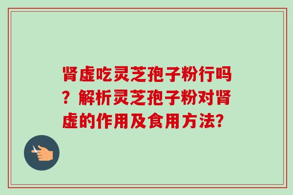 肾虚吃灵芝孢子粉行吗？解析灵芝孢子粉对肾虚的作用及食用方法？-第1张图片-卓越灵芝孢子粉