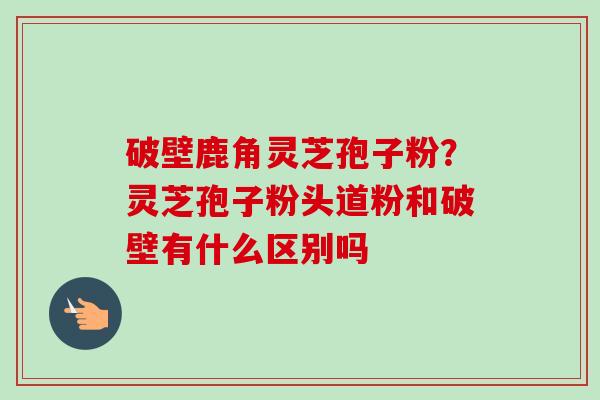 破壁鹿角灵芝孢子粉？灵芝孢子粉头道粉和破壁有什么区别吗-第1张图片-卓越灵芝孢子粉