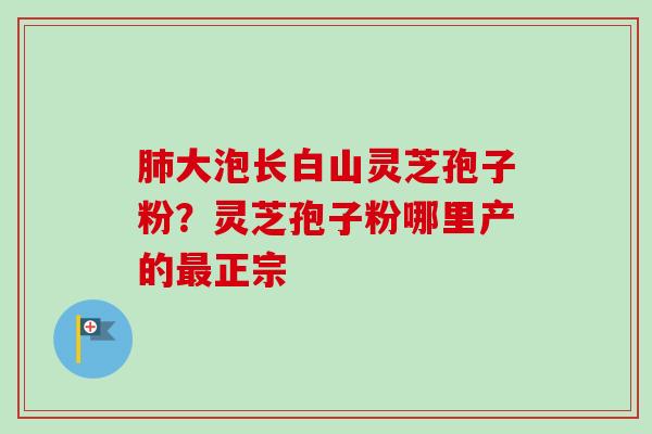 肺大泡长白山灵芝孢子粉？灵芝孢子粉哪里产的最正宗-第1张图片-卓越灵芝孢子粉