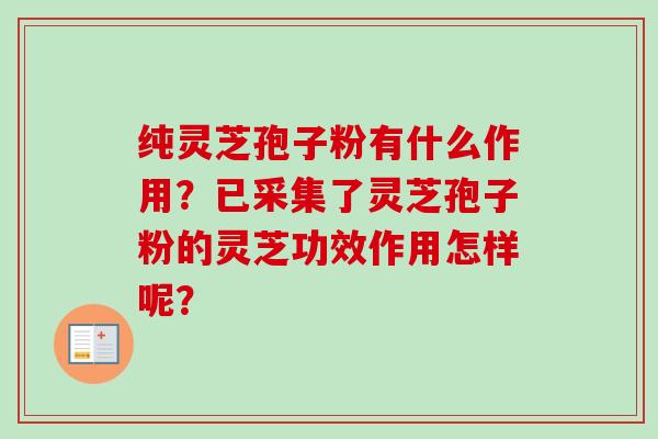 纯灵芝孢子粉有什么作用?已采集了灵芝孢子粉的灵芝功效作用怎样呢?-第1张图片-卓越灵芝孢子粉 纯灵芝孢子粉有什么作用?已采集了灵芝孢子粉的灵芝功效作用怎样呢?-第1张图片-卓越灵芝孢子粉