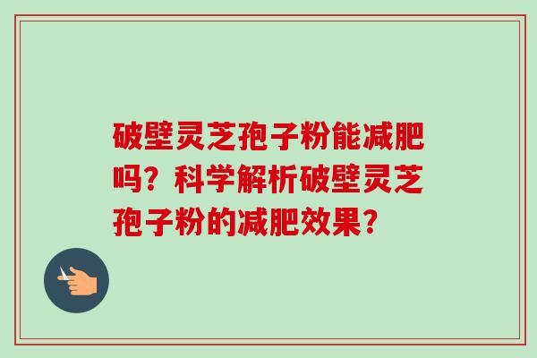 破壁灵芝孢子粉能减肥吗？科学解析破壁灵芝孢子粉的减肥效果？-第1张图片-卓越灵芝孢子粉