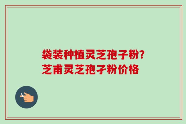 袋装种植灵芝孢子粉?芝甫灵芝孢孑粉价格-第1张图片-卓越灵芝孢子粉 袋装种植灵芝孢子粉?芝甫灵芝孢孑粉价格-第1张图片-卓越灵芝孢子粉
