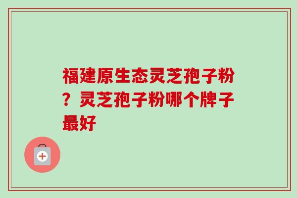 福建原生态灵芝孢子粉?灵芝孢子粉哪个牌子最好-第1张图片-卓越灵芝孢子粉 福建原生态灵芝孢子粉?灵芝孢子粉哪个牌子最好-第1张图片-卓越灵芝孢子粉