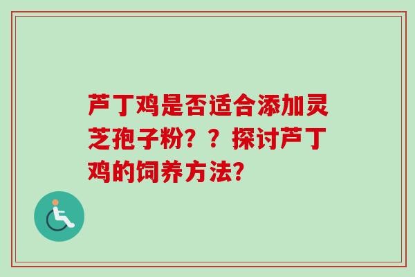 芦丁鸡是否适合添加灵芝孢子粉??探讨芦丁鸡的饲养方法?-第1张图片-卓越灵芝孢子粉 芦丁鸡是否适合添加灵芝孢子粉??探讨芦丁鸡的饲养方法?-第1张图片-卓越灵芝孢子粉