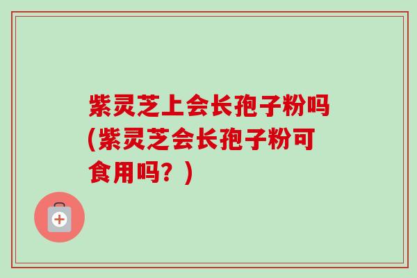 紫灵芝上会长孢子粉吗(紫灵芝会长孢子粉可食用吗?)-第1张图片-卓越灵芝孢子粉 紫灵芝上会长孢子粉吗(紫灵芝会长孢子粉可食用吗?)-第1张图片-卓越灵芝孢子粉