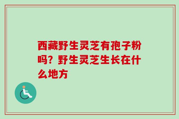 西藏野生灵芝有孢子粉吗?野生灵芝生长在什么地方-第1张图片-卓越灵芝孢子粉 西藏野生灵芝有孢子粉吗?野生灵芝生长在什么地方-第1张图片-卓越灵芝孢子粉