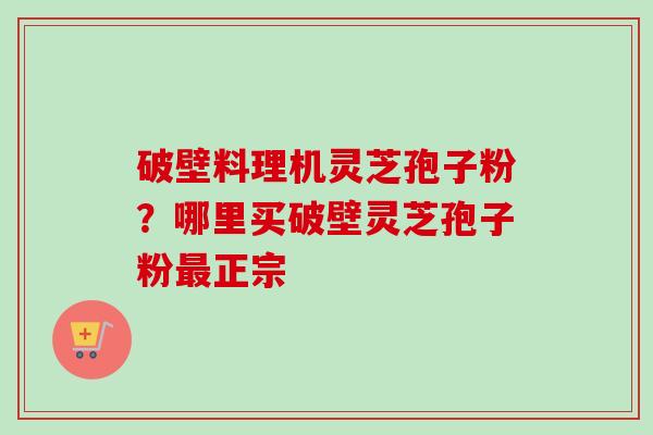 破壁料理机灵芝孢子粉？哪里买破壁灵芝孢子粉最正宗-第1张图片-卓越灵芝孢子粉
