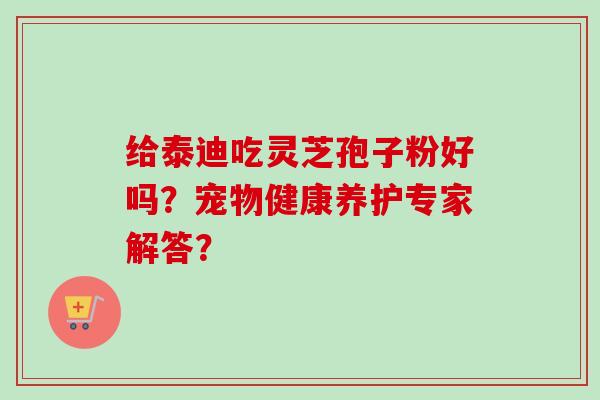 给泰迪吃灵芝孢子粉好吗?宠物健康养护专家解答?-第1张图片-卓越灵芝孢子粉 给泰迪吃灵芝孢子粉好吗?宠物健康养护专家解答?-第1张图片-卓越灵芝孢子粉