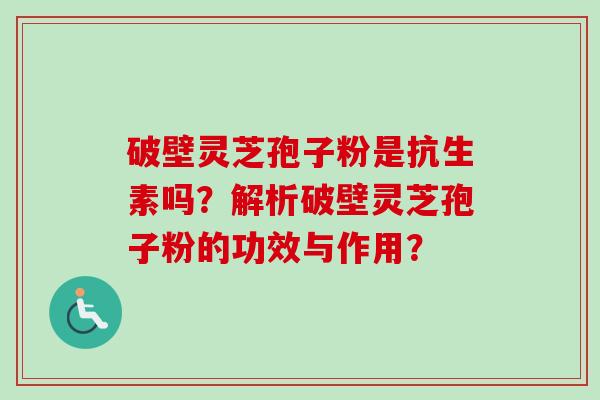 破壁灵芝孢子粉是抗生素吗？解析破壁灵芝孢子粉的功效与作用？-第1张图片-卓越灵芝孢子粉