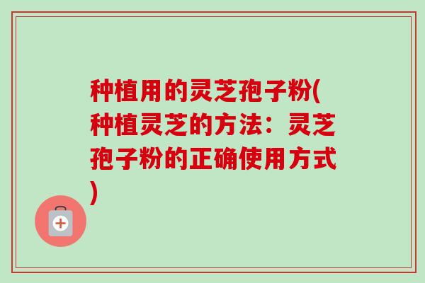 种植用的灵芝孢子粉(种植灵芝的方法：灵芝孢子粉的正确使用方式)-第1张图片-卓越灵芝孢子粉