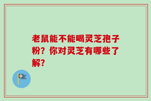老鼠能不能喝灵芝孢子粉？你对灵芝有哪些了解？-第1张图片-卓越灵芝孢子粉