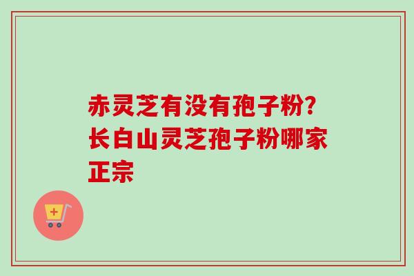 赤灵芝有没有孢子粉？长白山灵芝孢子粉哪家正宗-第1张图片-卓越灵芝孢子粉