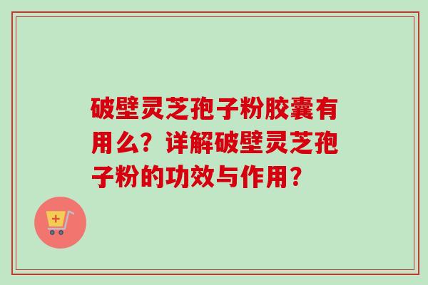 破壁灵芝孢子粉胶囊有用么?详解破壁灵芝孢子粉的功效与作用?-第1张图片-卓越灵芝孢子粉 破壁灵芝孢子粉胶囊有用么?详解破壁灵芝孢子粉的功效与作用?-第1张图片-卓越灵芝孢子粉