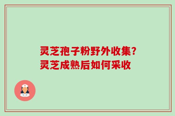 灵芝孢子粉野外收集?灵芝成熟后如何采收-第1张图片-卓越灵芝孢子粉 灵芝孢子粉野外收集?灵芝成熟后如何采收-第1张图片-卓越灵芝孢子粉
