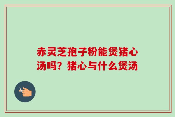 赤灵芝孢子粉能煲猪心汤吗？猪心与什么煲汤-第1张图片-卓越灵芝孢子粉