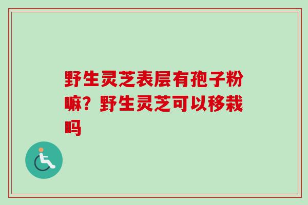 野生灵芝表层有孢子粉嘛?野生灵芝可以移栽吗-第1张图片-卓越灵芝孢子粉 野生灵芝表层有孢子粉嘛?野生灵芝可以移栽吗-第1张图片-卓越灵芝孢子粉