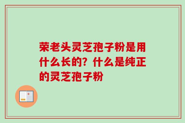 荣老头灵芝孢子粉是用什么长的？什么是纯正的灵芝孢子粉-第1张图片-卓越灵芝孢子粉