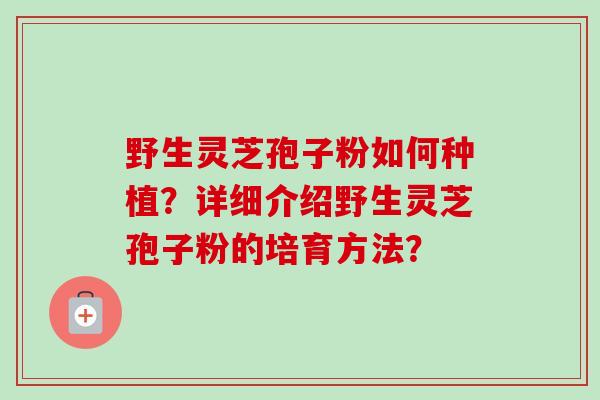 野生灵芝孢子粉如何种植？详细介绍野生灵芝孢子粉的培育方法？-第1张图片-卓越灵芝孢子粉