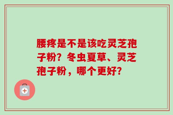 腰疼是不是该吃灵芝孢子粉？冬虫夏草、灵芝孢子粉，哪个更好？-第1张图片-卓越灵芝孢子粉