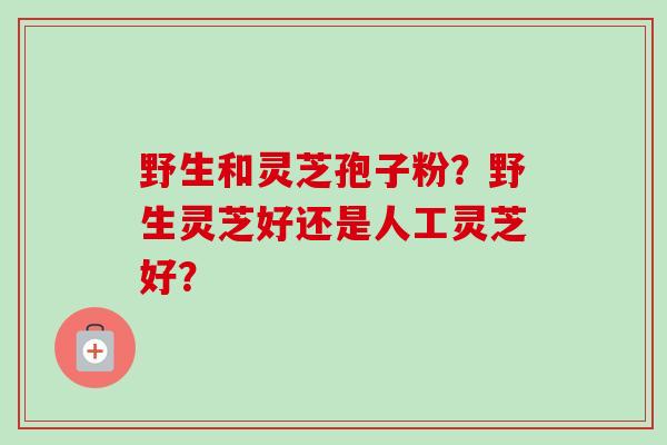 野生和灵芝孢子粉?野生灵芝好还是人工灵芝好?-第1张图片-卓越灵芝孢子粉 野生和灵芝孢子粉?野生灵芝好还是人工灵芝好?-第1张图片-卓越灵芝孢子粉