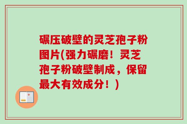 碾压破壁的灵芝孢子粉图片(强力碾磨!灵芝孢子粉破壁制成,保留最大有效成分!)-第1张图片-卓越灵芝孢子粉 碾压破壁的灵芝孢子粉图片(强力碾磨!灵芝孢子粉破壁制成,保留最大有效成分!)-第1张图片-卓越灵芝孢子粉