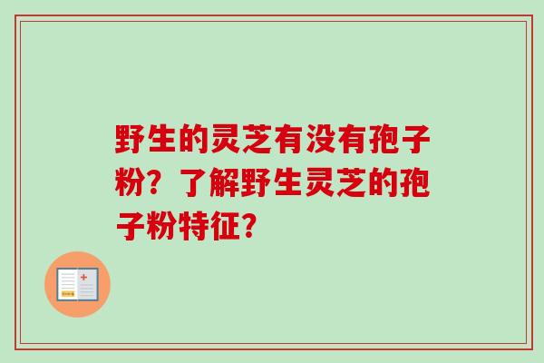野生的灵芝有没有孢子粉？了解野生灵芝的孢子粉特征？-第1张图片-卓越灵芝孢子粉