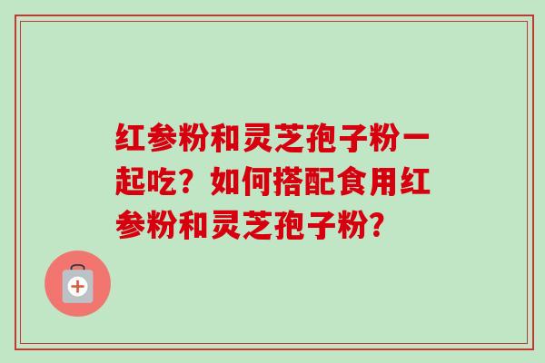红参粉和灵芝孢子粉一起吃？如何搭配食用红参粉和灵芝孢子粉？-第1张图片-卓越灵芝孢子粉