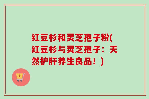 红豆杉和灵芝孢子粉(红豆杉与灵芝孢子：天然护肝养生良品！)-第1张图片-卓越灵芝孢子粉