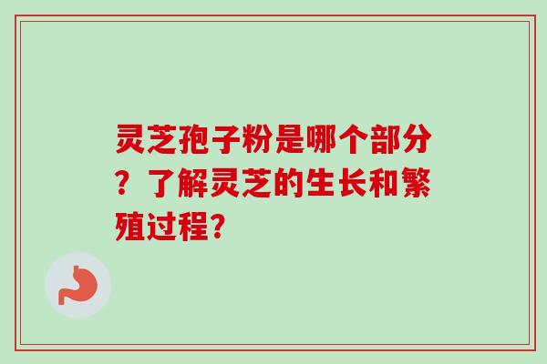 灵芝孢子粉是哪个部分?了解灵芝的生长和繁殖过程?-第1张图片-卓越灵芝孢子粉 灵芝孢子粉是哪个部分?了解灵芝的生长和繁殖过程?-第1张图片-卓越灵芝孢子粉
