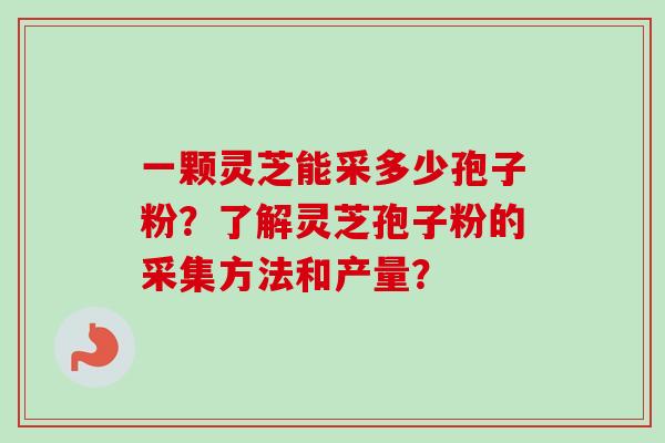 一颗灵芝能采多少孢子粉?了解灵芝孢子粉的采集方法和产量?-第1张图片-卓越灵芝孢子粉 一颗灵芝能采多少孢子粉?了解灵芝孢子粉的采集方法和产量?-第1张图片-卓越灵芝孢子粉