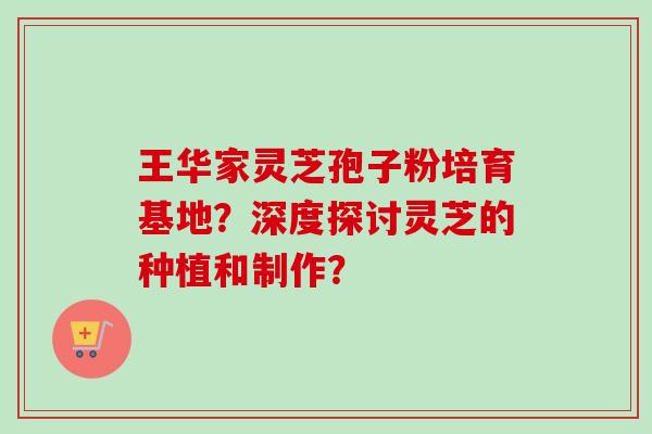王华家灵芝孢子粉培育基地？深度探讨灵芝的种植和制作？-第1张图片-卓越灵芝孢子粉
