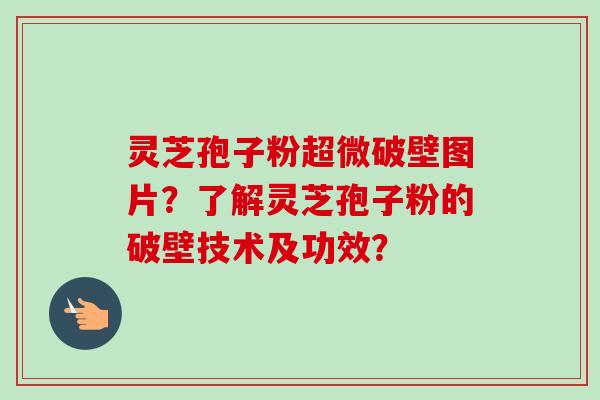 灵芝孢子粉超微破壁图片?了解灵芝孢子粉的破壁技术及功效?-第1张图片-卓越灵芝孢子粉 灵芝孢子粉超微破壁图片?了解灵芝孢子粉的破壁技术及功效?-第1张图片-卓越灵芝孢子粉