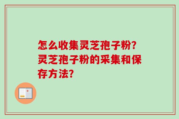 怎么收集灵芝孢子粉？灵芝孢子粉的采集和保存方法？-第1张图片-卓越灵芝孢子粉