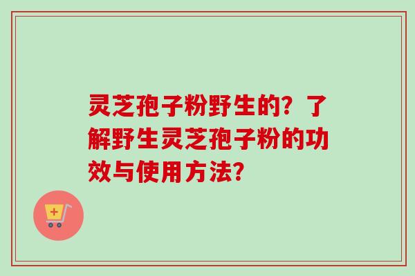 灵芝孢子粉野生的？了解野生灵芝孢子粉的功效与使用方法？-第1张图片-卓越灵芝孢子粉