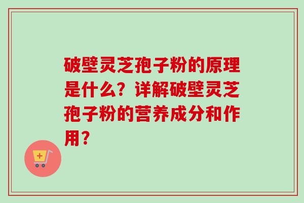 破壁灵芝孢子粉的原理是什么？详解破壁灵芝孢子粉的营养成分和作用？-第1张图片-卓越灵芝孢子粉