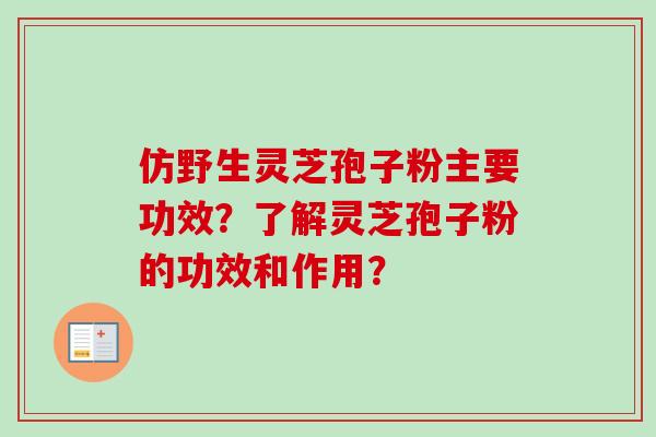 仿野生灵芝孢子粉主要功效？了解灵芝孢子粉的功效和作用？-第1张图片-卓越灵芝孢子粉