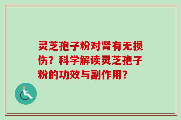 灵芝孢子粉对肾有无损伤?科学解读灵芝孢子粉的功效与副作用?-第1张图片-卓越灵芝孢子粉 灵芝孢子粉对肾有无损伤?科学解读灵芝孢子粉的功效与副作用?-第1张图片-卓越灵芝孢子粉