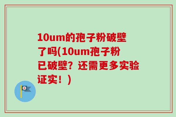 10um的孢子粉破壁了吗(10um孢子粉已破壁?还需更多实验证实!)-第1张图片-卓越灵芝孢子粉 10um的孢子粉破壁了吗(10um孢子粉已破壁?还需更多实验证实!)-第1张图片-卓越灵芝孢子粉