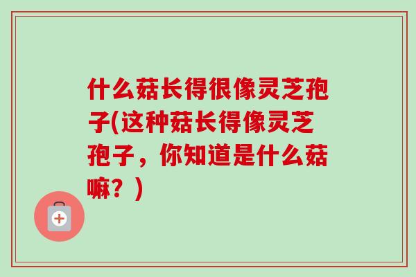 什么菇长得很像灵芝孢子(这种菇长得像灵芝孢子,你知道是什么菇嘛?)-第1张图片-卓越灵芝孢子粉 什么菇长得很像灵芝孢子(这种菇长得像灵芝孢子,你知道是什么菇嘛?)-第1张图片-卓越灵芝孢子粉
