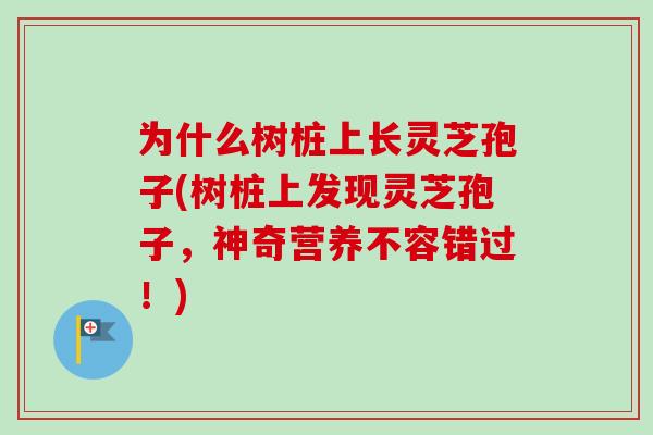 为什么树桩上长灵芝孢子(树桩上发现灵芝孢子,神奇营养不容错过!)-第1张图片-卓越灵芝孢子粉 为什么树桩上长灵芝孢子(树桩上发现灵芝孢子,神奇营养不容错过!)-第1张图片-卓越灵芝孢子粉