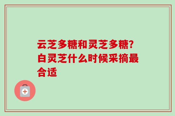 云芝多糖和灵芝多糖?白灵芝什么时候采摘最合适-第1张图片-卓越灵芝孢子粉 云芝多糖和灵芝多糖?白灵芝什么时候采摘最合适-第1张图片-卓越灵芝孢子粉