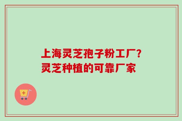 上海灵芝孢子粉工厂？灵芝种植的可靠厂家-第1张图片-卓越灵芝孢子粉