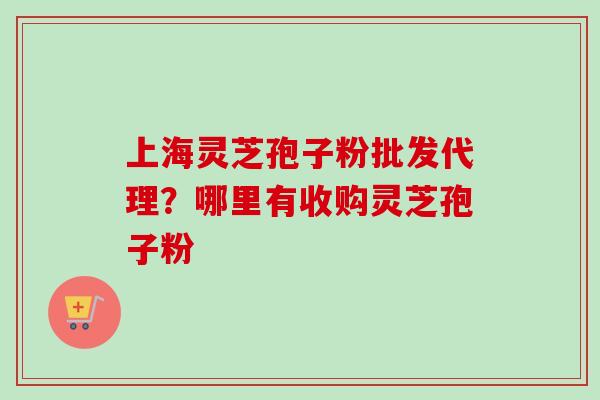 上海灵芝孢子粉批发代理？哪里有收购灵芝孢子粉-第1张图片-卓越灵芝孢子粉