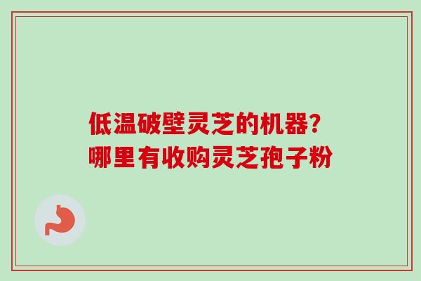 低温破壁灵芝的机器？哪里有收购灵芝孢子粉-第1张图片-卓越灵芝孢子粉