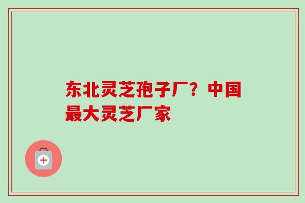 东北灵芝孢子厂？中国最大灵芝厂家-第1张图片-卓越灵芝孢子粉