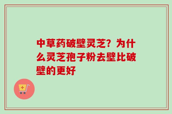 中草药破壁灵芝？为什么灵芝孢子粉去壁比破壁的更好-第1张图片-卓越灵芝孢子粉