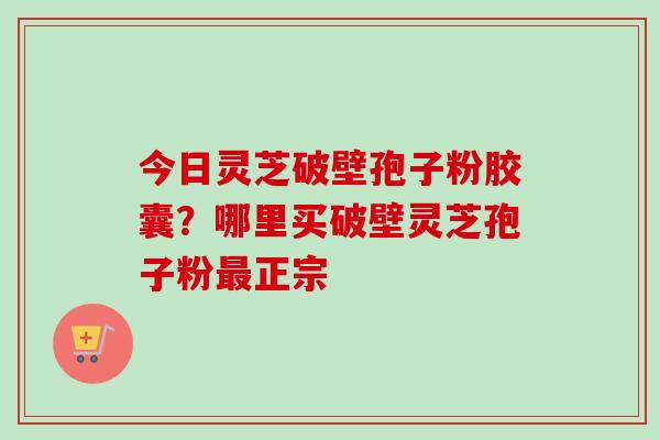 今日灵芝破壁孢子粉胶囊？哪里买破壁灵芝孢子粉最正宗-第1张图片-卓越灵芝孢子粉