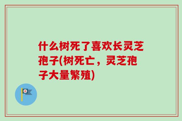 什么树死了喜欢长灵芝孢子(树死亡,灵芝孢子大量繁殖)-第1张图片-卓越灵芝孢子粉 什么树死了喜欢长灵芝孢子(树死亡,灵芝孢子大量繁殖)-第1张图片-卓越灵芝孢子粉