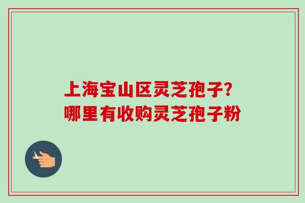 上海宝山区灵芝孢子?哪里有收购灵芝孢子粉-第1张图片-卓越灵芝孢子粉 上海宝山区灵芝孢子?哪里有收购灵芝孢子粉-第1张图片-卓越灵芝孢子粉