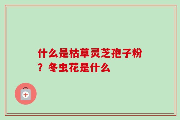 什么是枯草灵芝孢子粉?冬虫花是什么-第1张图片-卓越灵芝孢子粉 什么是枯草灵芝孢子粉?冬虫花是什么-第1张图片-卓越灵芝孢子粉